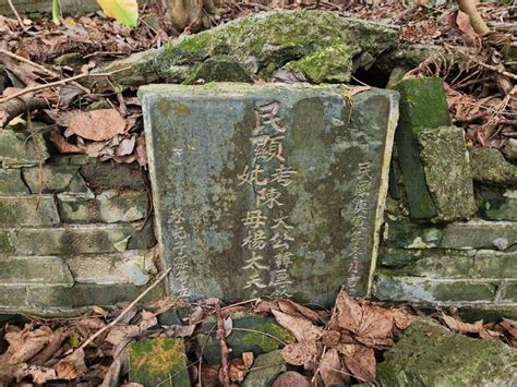 烏鴉落陽風水|風水：《香港風水搜秘》(3)香港九龍新界地脈行龍分述─新界離島。